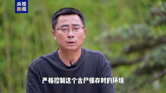 郑晓龙妻子护士身份揭秘，背后的故事与细节