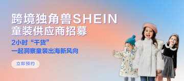 中文视角下的深度洞察，Shein跨境电商平台的魅力与机遇探索