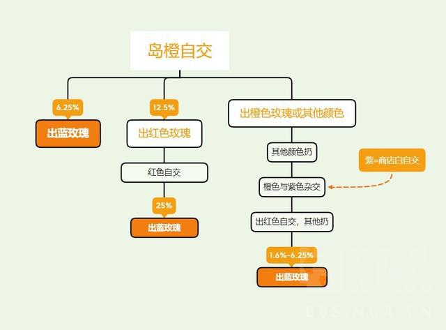 自动化专业考公务员的岗位选择策略与优化路径