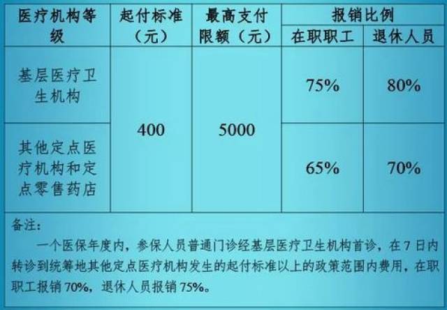 泰瑞沙报销比例详解，您的权益与保障全知道