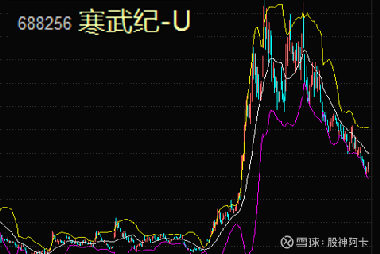 寒武纪股票的投资潜力与优化策略分析