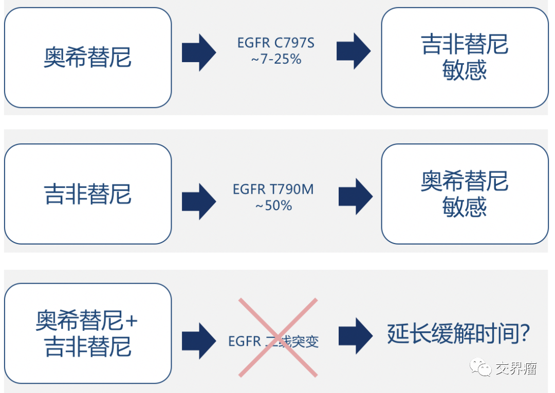 奥希替尼饮食禁忌，三种水果需避免及合理饮食建议探讨