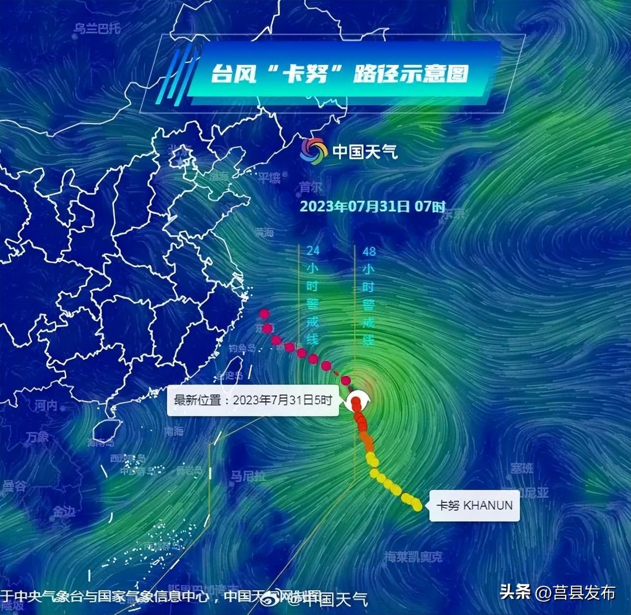 台风最新路径动态与优化分析综述