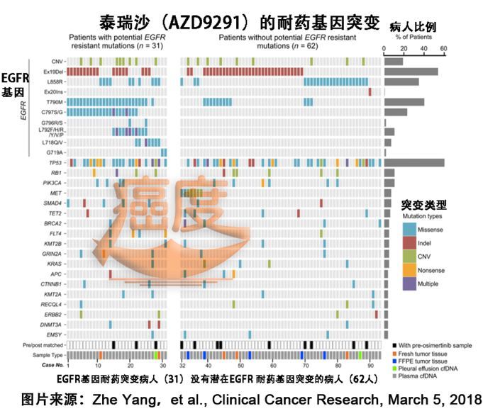 泰瑞沙耐药性的影响因素、优化策略及耐药时间探究