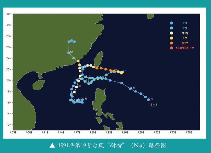 台风路径动态图，全面解析与优化设计指南