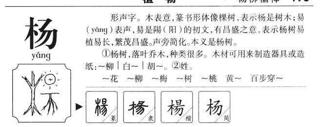 杨姓男孩的优雅顺耳名字精选