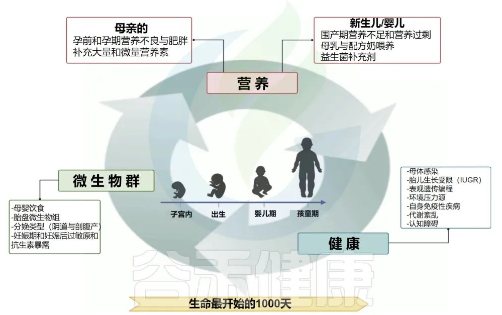 渐冻症早期治疗与生存周期探讨