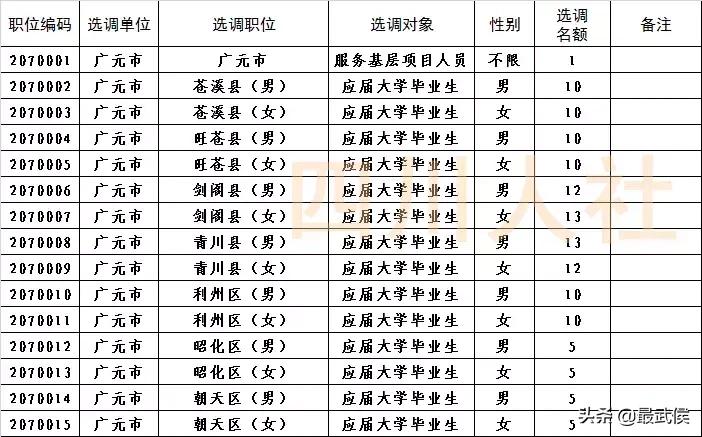 重磅解读，四川选调生招考公告全面解析（附详细解读）