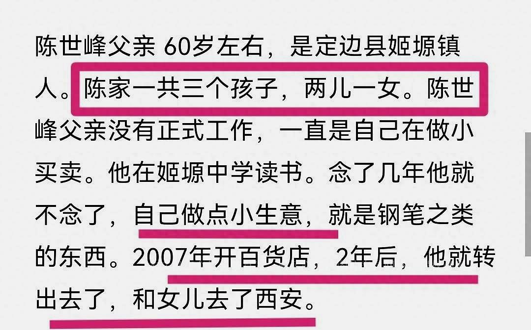 陈世峰案深度解析，罪行背后的司法公正探讨