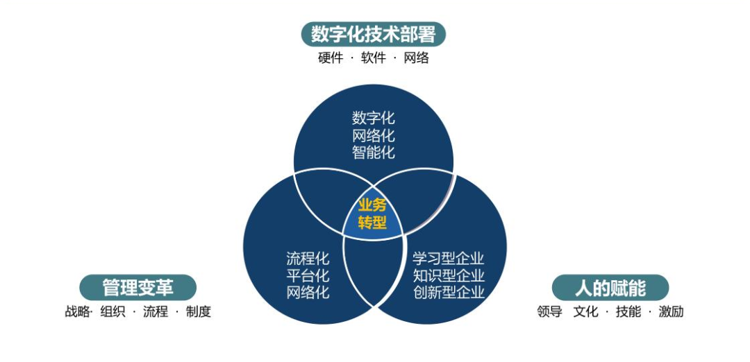 单位演变与优化探索，从个体到绝对无限大数