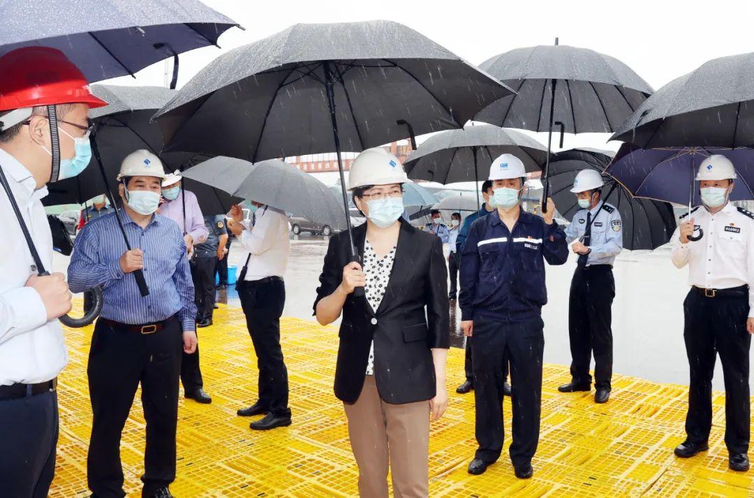 仅存活一瞬的台风，极端天气现象与应对策略的优化探讨