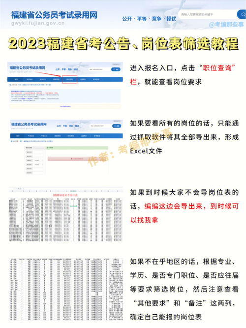 国家公务员网2023职位表深度解析，实现政府职业梦想的起点