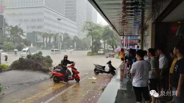 泉州历史最大台风及其深远影响