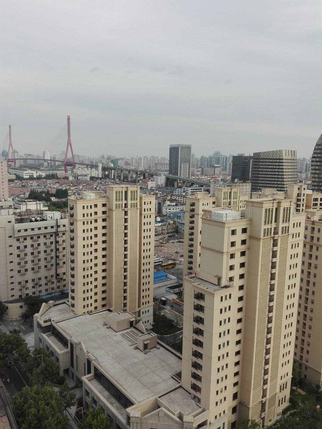 上海杨浦区天气预报详解