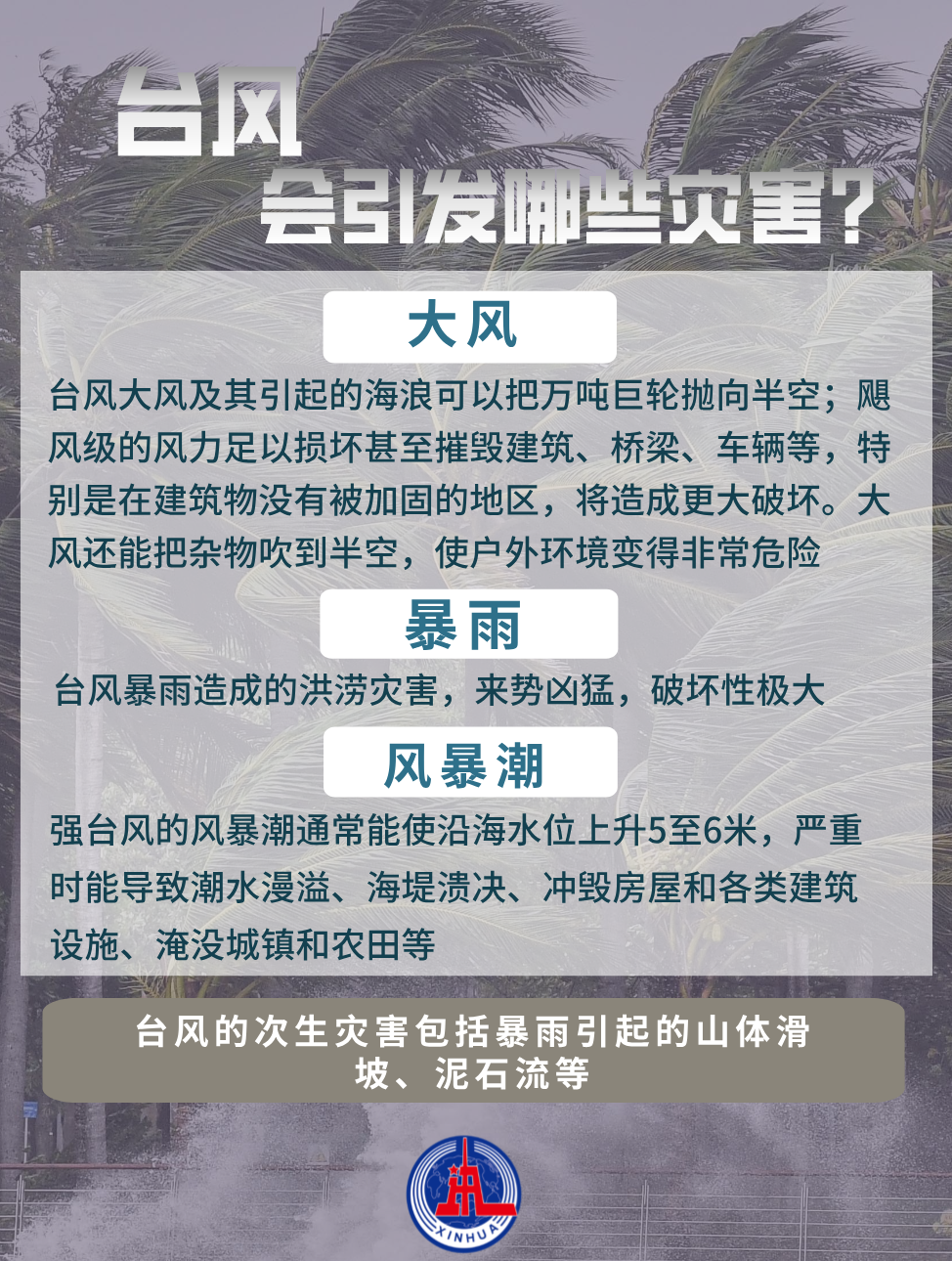 深度解析，台风第15号的挑战与防范措施（2024年）