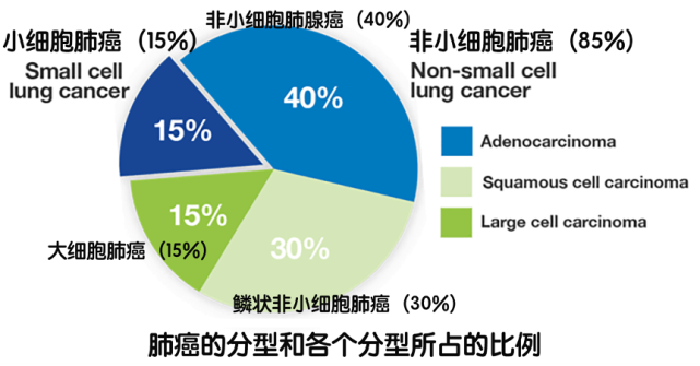 易瑞沙治疗肺癌成功率深度探究