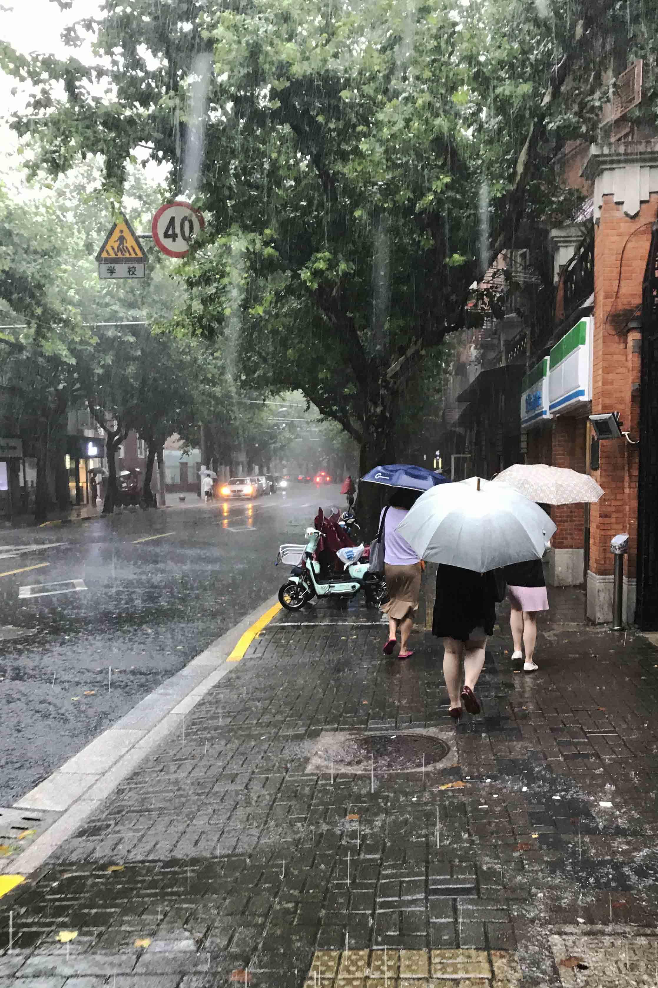 暴雨黄色预警信号，含义、影响及应对指南