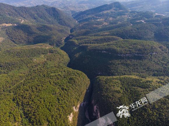 农夫山泉的蜕变之路，深度解析现状并展望前景