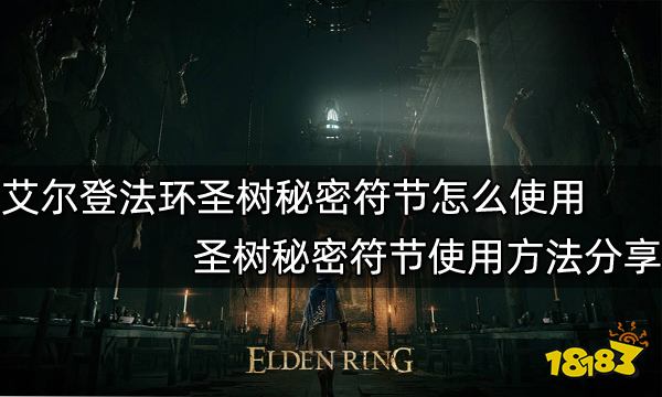 揭秘神秘面纱下的日子，今日9月6日，探寻节日之谜。