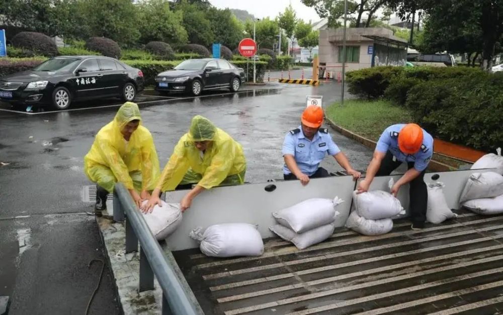 浙江台风最新动态全面解析