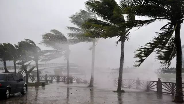 狂风暴雨中的壮丽画卷