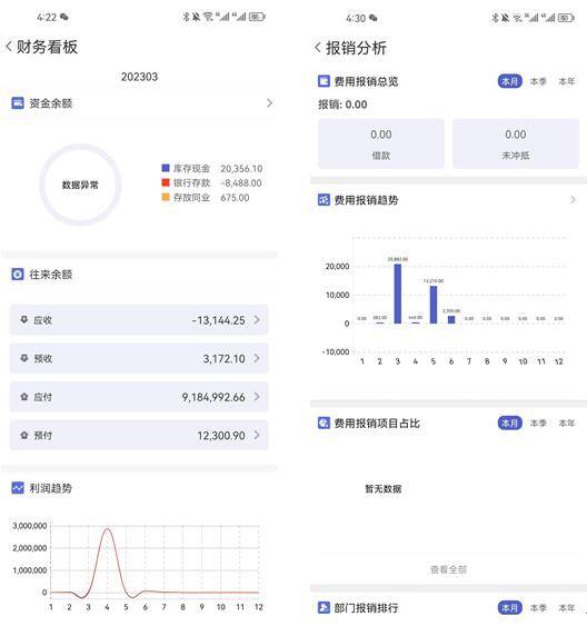 管家婆一肖一码100%,稳定性设计解析_2DM33.554