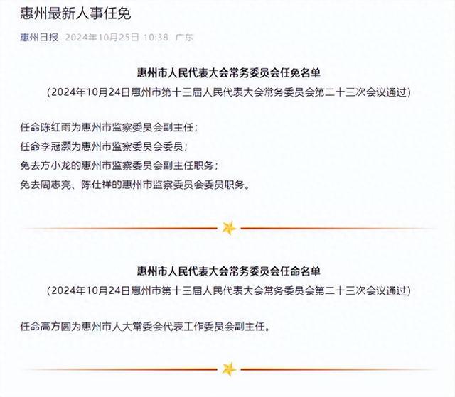 惠州市侨务办公室人事大调整，新领导团队引领侨务事业迈向新篇章