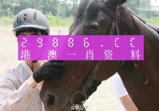 澳门一肖一码一必中一尚同舟,全面解答解释落实_完整版91.473