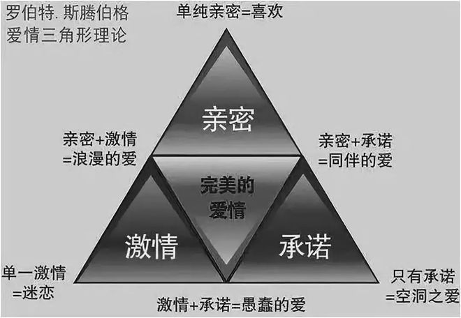 新澳天天开奖资料大全最新53,理论依据解释定义_标准版40.826