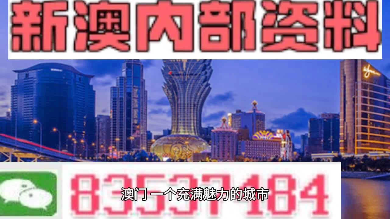 新澳门最精准正最精准,深度解答解释定义_限定版28.198