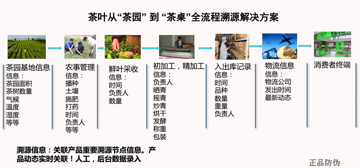 最准一码一肖100%噢,持续解析方案_体验版56.567