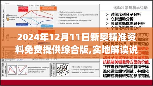 2024新奥免费资料,精细解析说明_限定版56.331