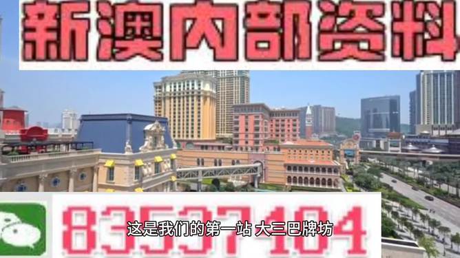 2024新澳门精准免费大全,专家说明解析_M版48.366