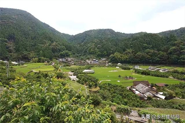 常木村绿色智慧乡村典范项目，引领未来的新篇章