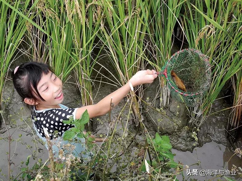 连南瑶族自治县文化局发展规划报告概览