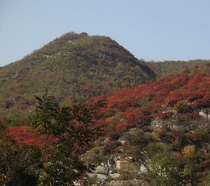 山西省阳泉市盂县仙人乡发展规划概览，最新蓝图揭晓