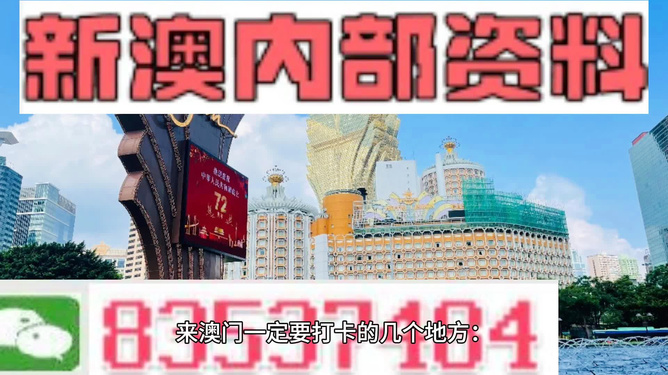 2024新澳门精准资料免费,深度研究解释定义_领航款20.258