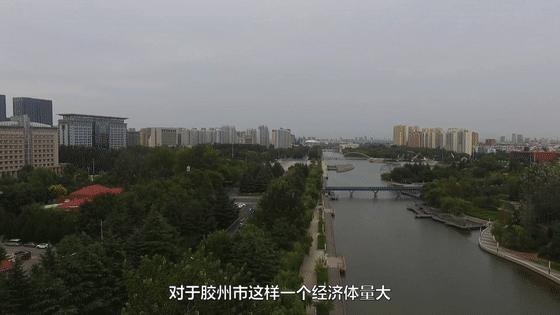 胶州市审计局招聘启事，最新职位空缺及要求