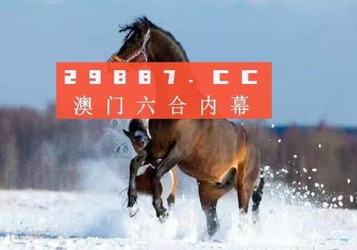 新澳门一肖一码中恃,实践验证解释定义_精装版30.492