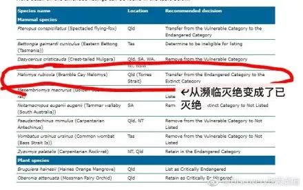 新澳今天最新资料网站,实效设计计划解析_MT66.187