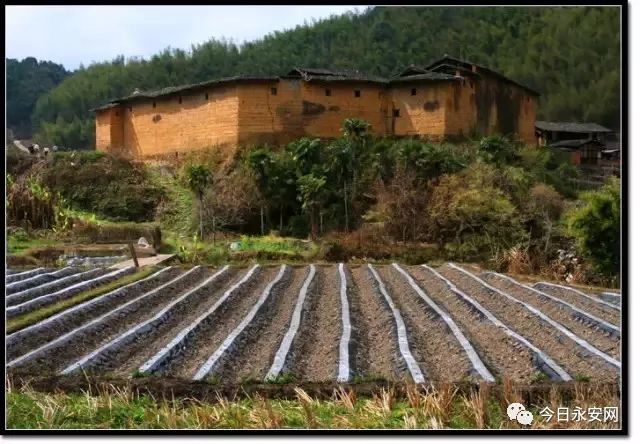 若洛村新项目引领乡村振兴，共筑共同富裕之路