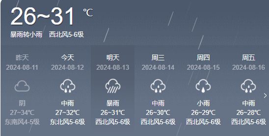 酒店村委会天气预报与实用指南