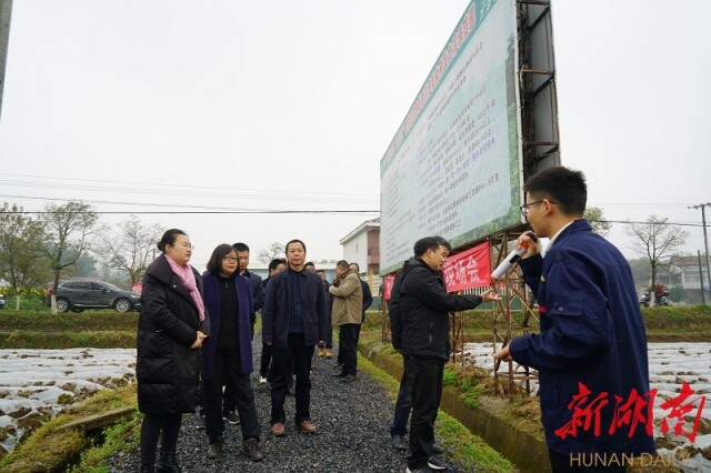 盘塘镇最新项目，引领地方发展的动力核心