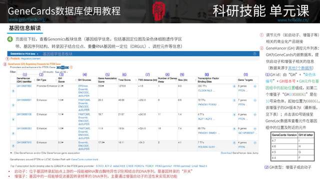 奥门一码一肖必中特,数据整合设计解析_探索版31.326