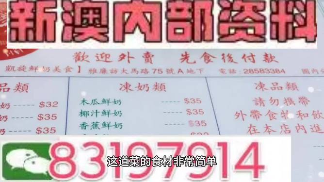 新澳门精准资料大全管家婆料,实地计划设计验证_豪华版69.887