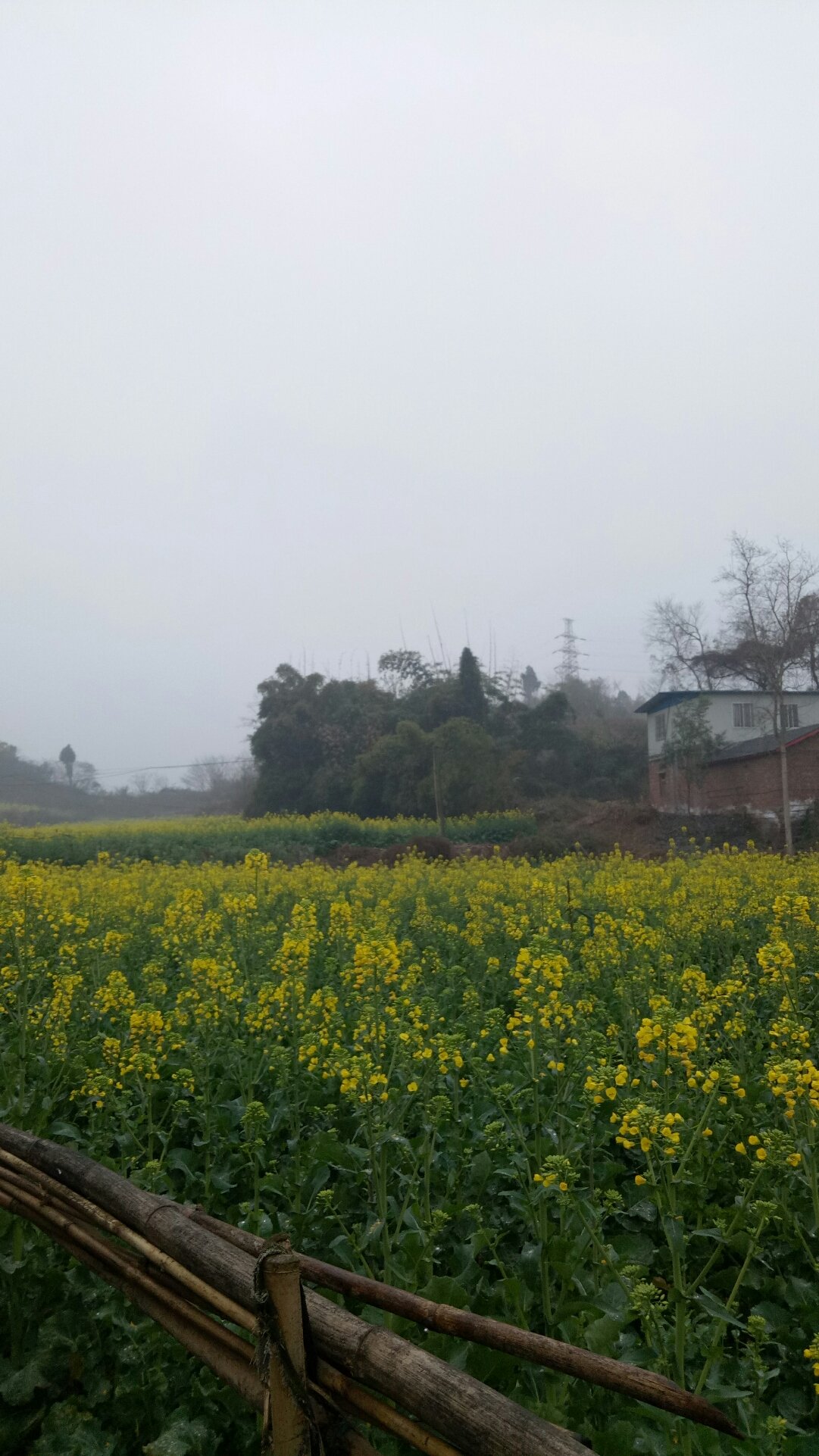 雄章乡天气预报，洞悉未来天气变化，保障出行无忧