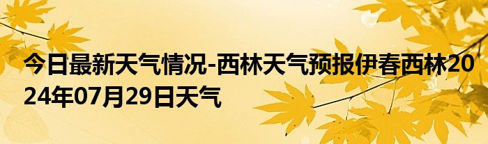 汤林林场天气预报与优化信息全面解析