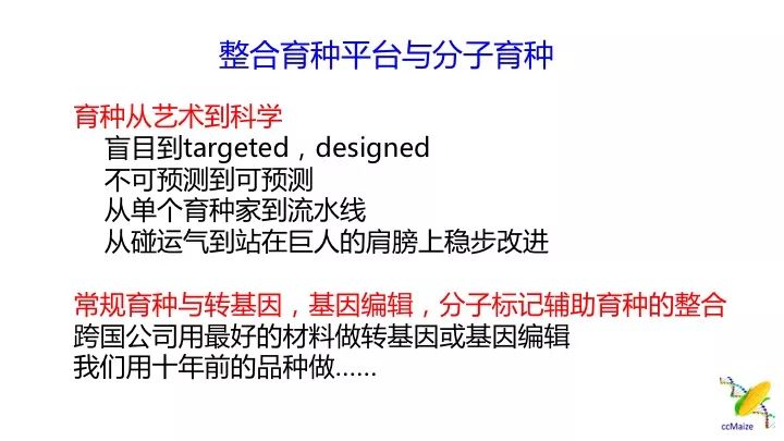 今晚澳门必中三肖三,数据解析支持设计_挑战版94.503