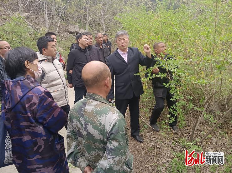 蛟潭庄镇前沿项目揭秘，引领发展新风潮